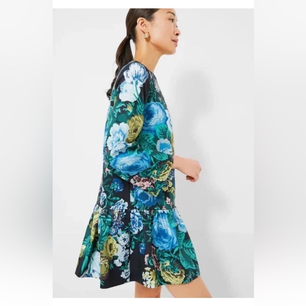 Tuckernuck Pierce Floral Mini Dress XXS NWT Black Blue Green Tiered Cotton - Picture 4 of 13